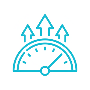 Efficient Customs Clearance