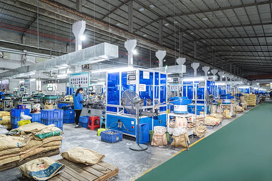 A Hub of Exploration & Creation