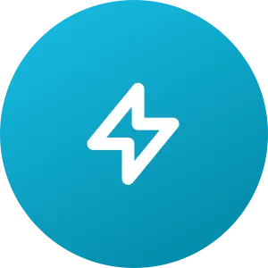 Elaborazione veloce& Quick Delivery Icon